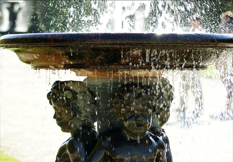 Versailles fountain Photograph by Christine Jepsen