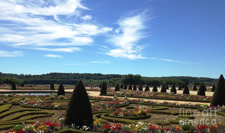 Versailles Palace Gardens Photograph by Therese Alcorn