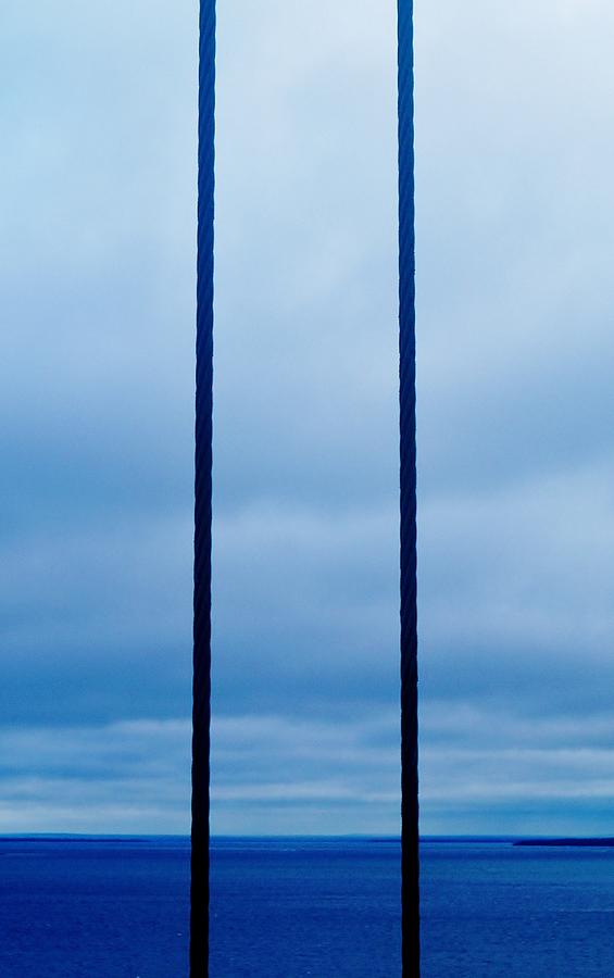 Vertical Cables Photograph by Daniel Thompson