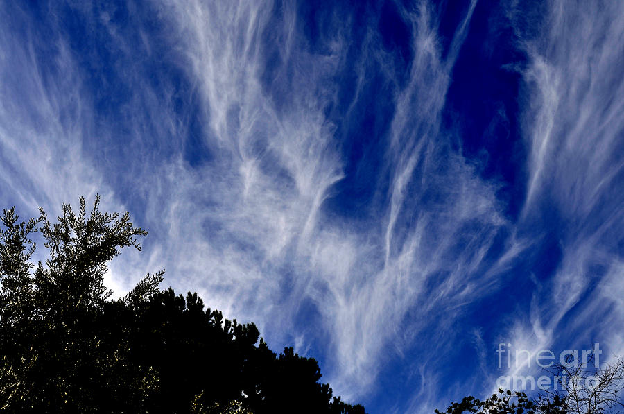 Vertical Clouds Photograph by Clayton Bruster