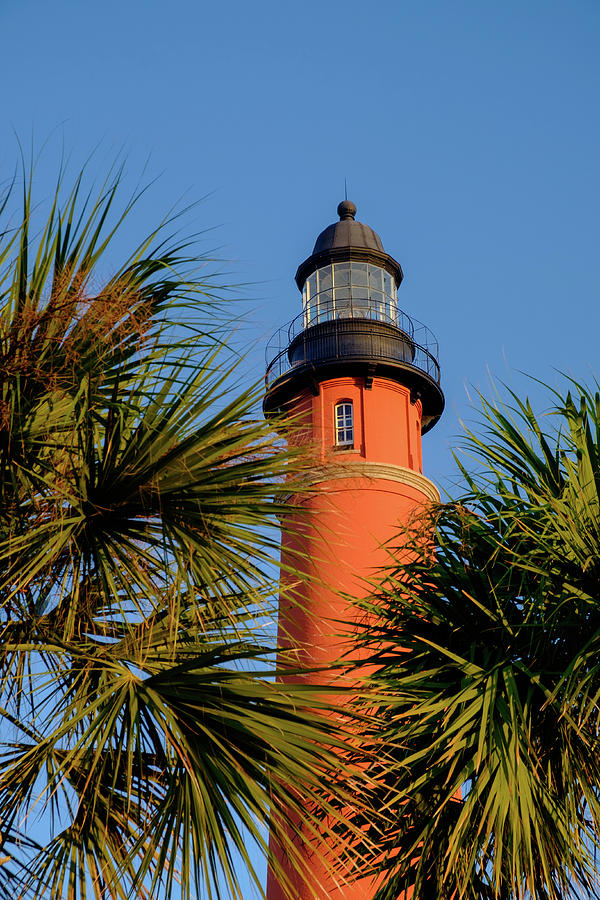 Vertical image of the tallest lighthouse in Florida and second t Photograph by Jorge Moro
