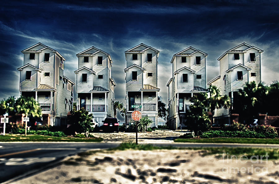 Vita Photograph - Vertical life by Alessandro Giorgi Art Photography Vita Photograph - Vertical life by Alessandro Giorgi Art Photography