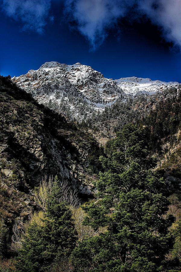 Vertical of Distant Peaks  Photograph by Buck Buchanan