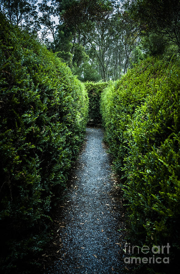 Vertical outdoor photograph of a garden labyrinth Photograph by Jorgo Photography