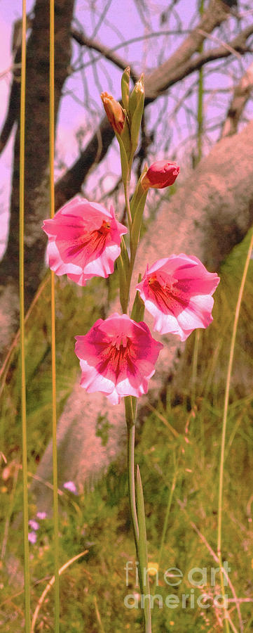 Vertical Pink Flower Photograph by Cassandra Buckley