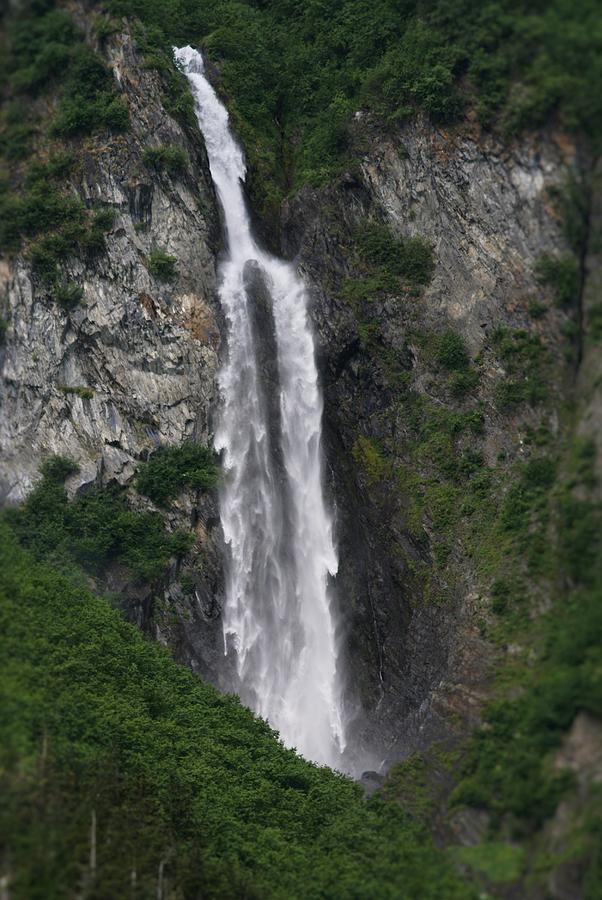 Vertical Waterfalls In Nature Photograph