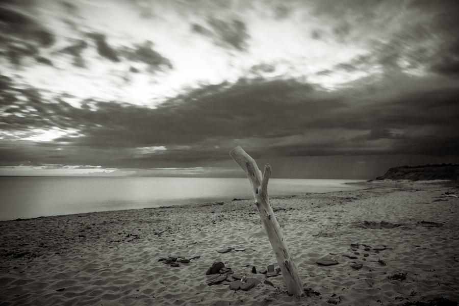 Beach Photograph - Verticale Driftwood at Cavendish Beach by Chris Bordeleau