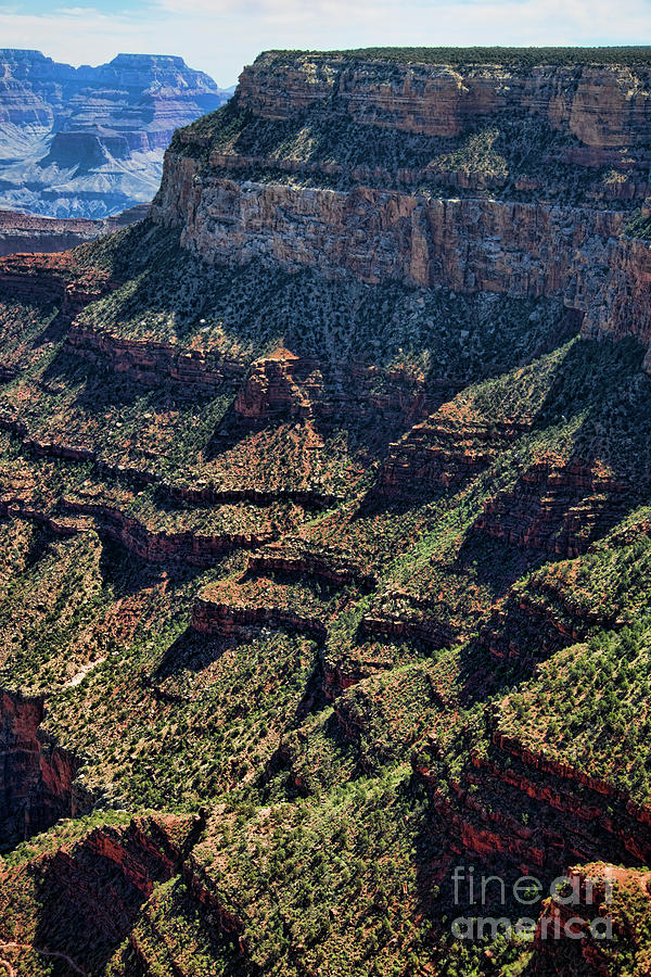 Grand Canyon National Park Photograph - Vertigal  Green Grand Canyon  by Chuck Kuhn