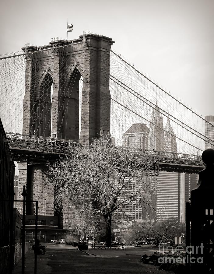 Vertigal  View Brooklyn Bridge Sepia Tone  Photograph by Chuck Kuhn