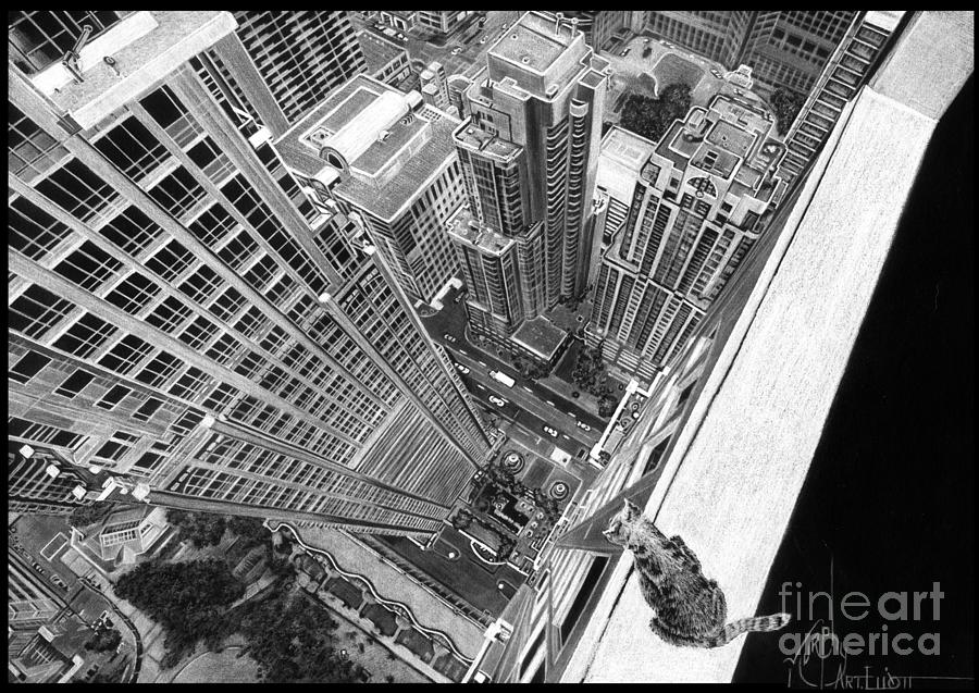 Vertigo Kitty by Murphy Elliott Vertigo Kitty by Murphy Elliott
