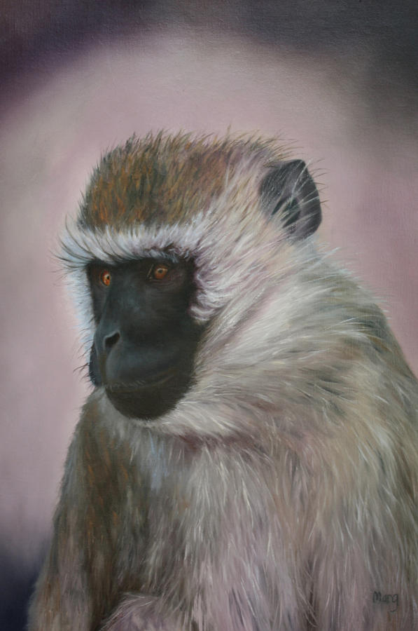 Vervet Painting by Marg Wolf