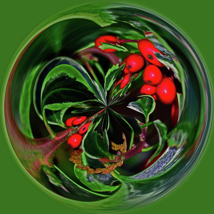 Very Berry Jolly Holly Christmas Sphere Photograph by Tikvahs Hope