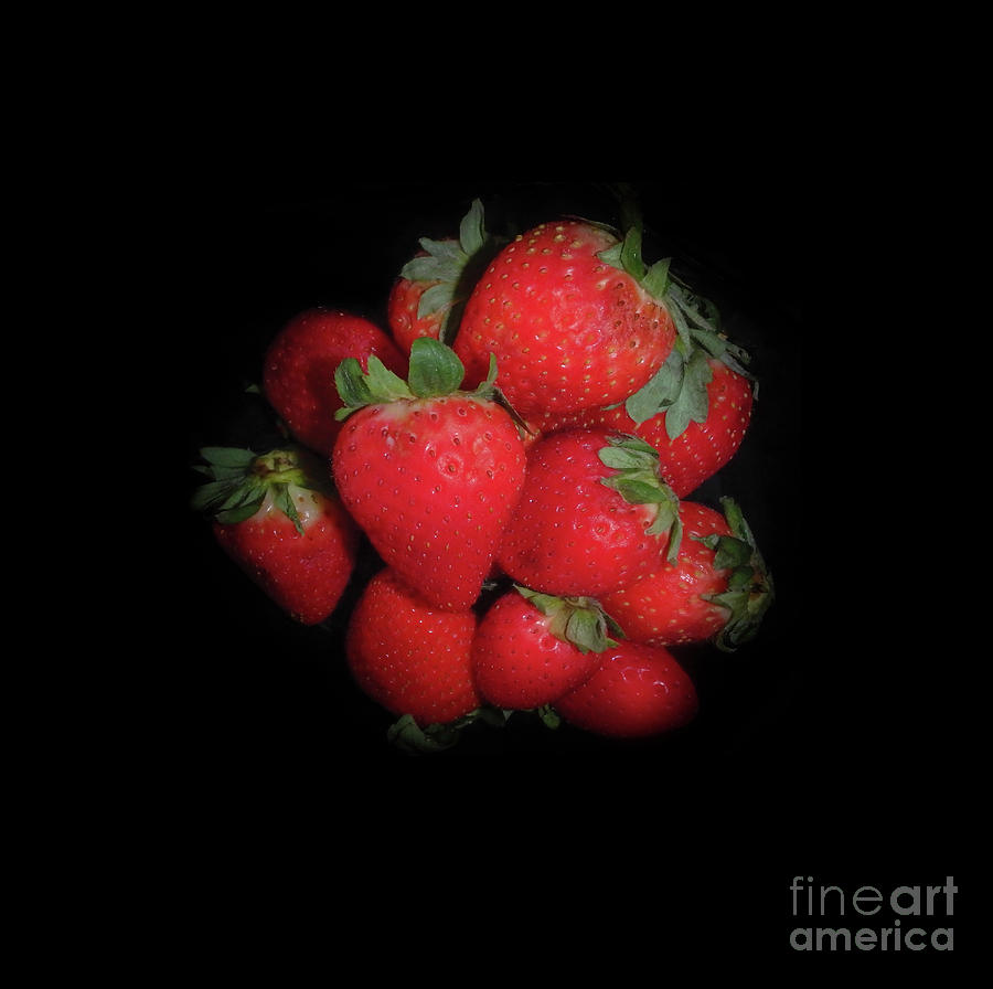 Very Berry Strawberries Photograph by Judy Hall-Folde