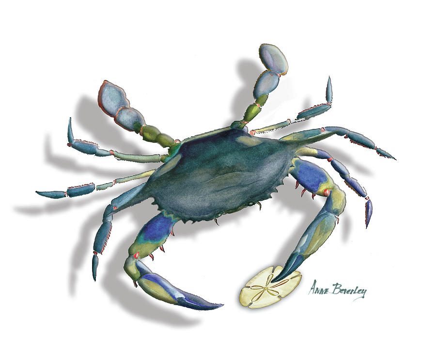 Very Blue Crab Painting by Anne Beverley-Stamps