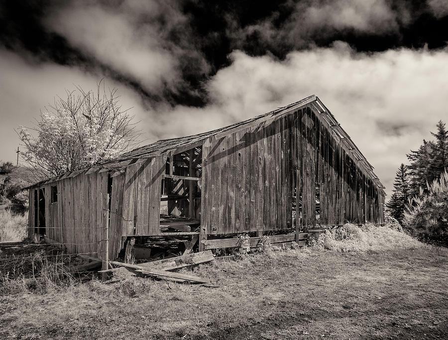 Very Old Barn Photograph by Greg Nyquist