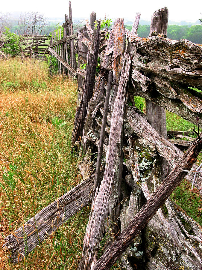 Very Old Log Fence Photograph by David and Carol Kelly
