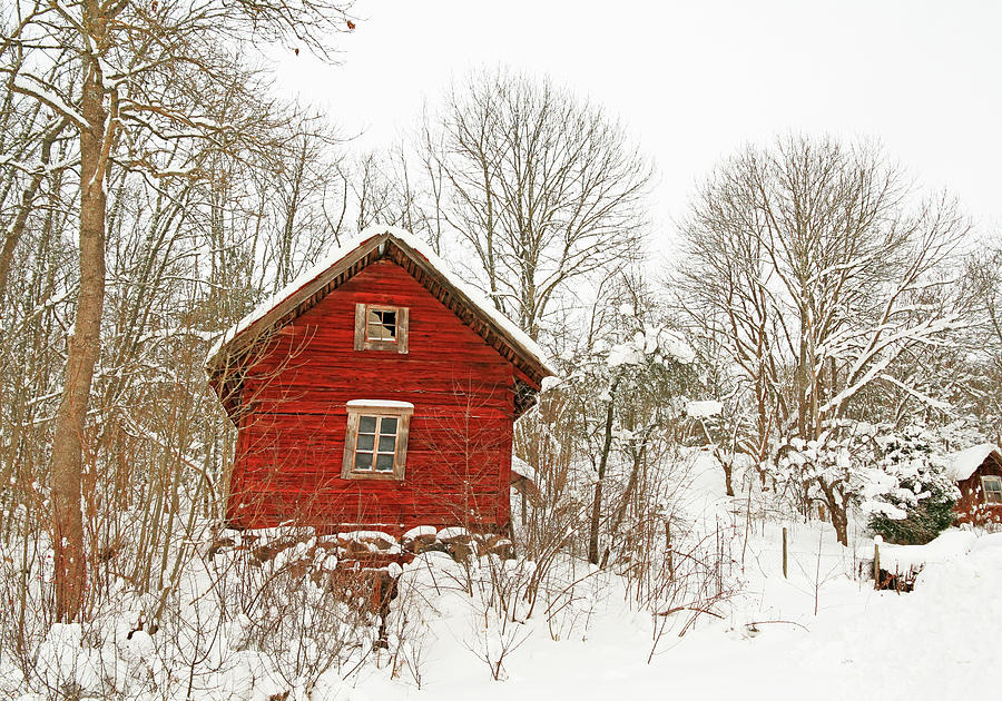 Winter Photograph - Very old red wooden house in a snowy forest by GoodMood Art