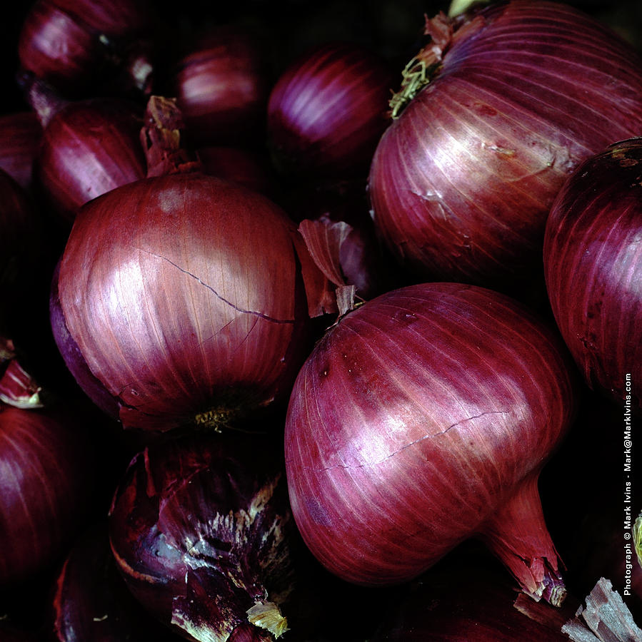 Very Red Sweet Onions Photograph by Mark Ivins