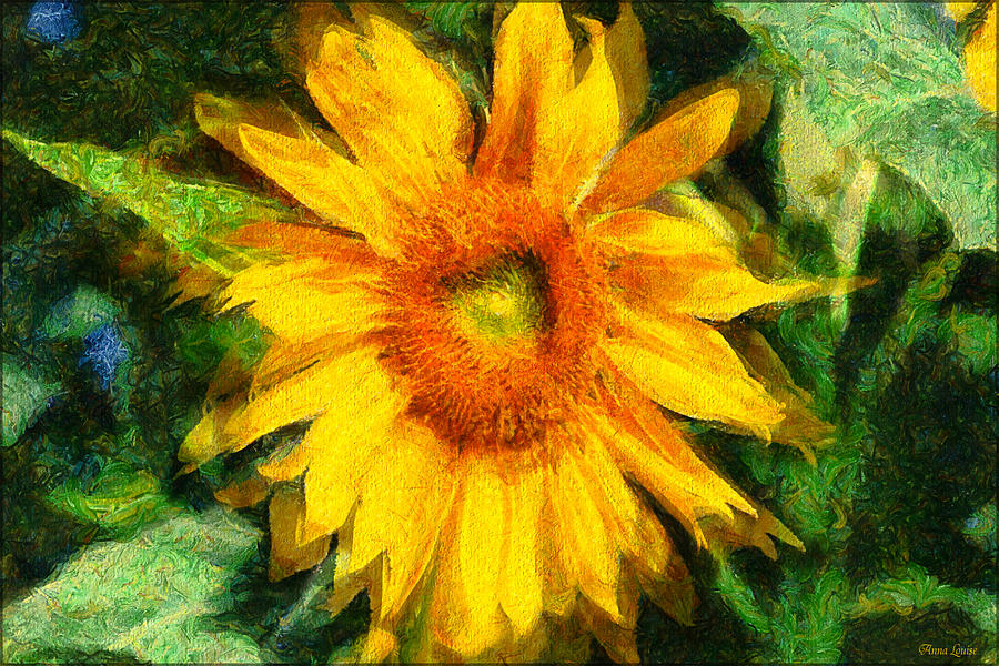 Very Wild Sunflower Photograph by Anna Louise