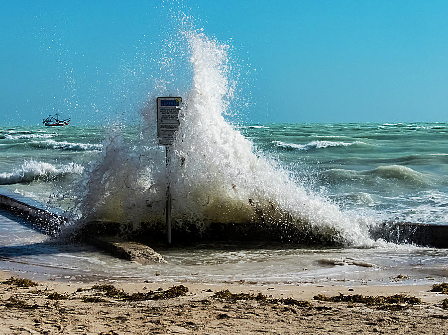 Very Windy at High Tide Photograph by Bob Slitzan