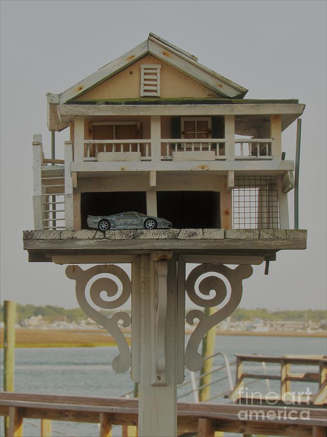 Bird House With Double Car Garage Photograph