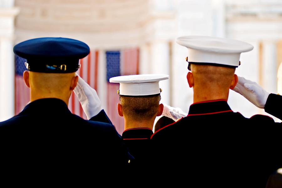 Veterans Day salute Photograph by Bill Jonscher