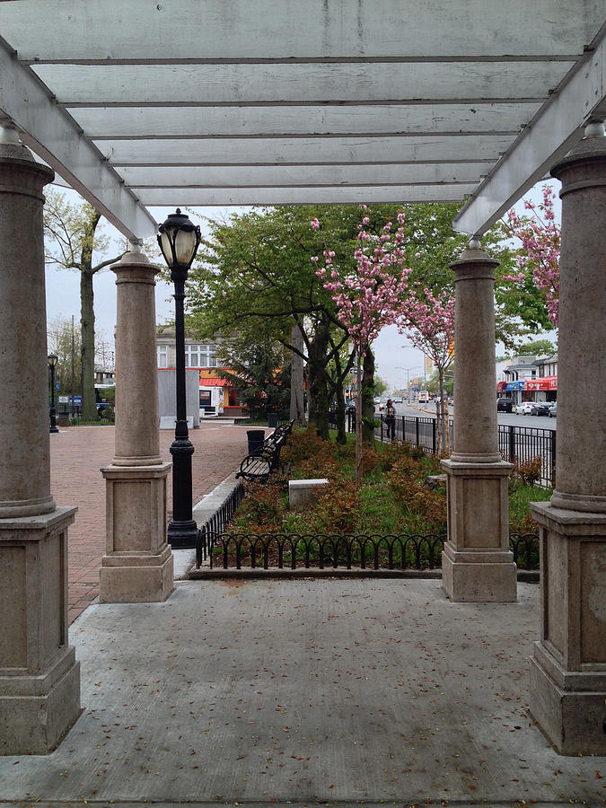 Spring Photograph - Veterans Plaza by Patrick Byrnes