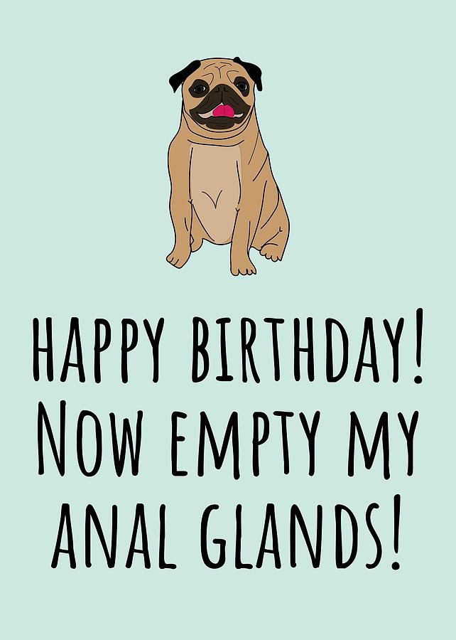 Veterinarian Birthday Card Veterinary Greeting Card Empty My Anal