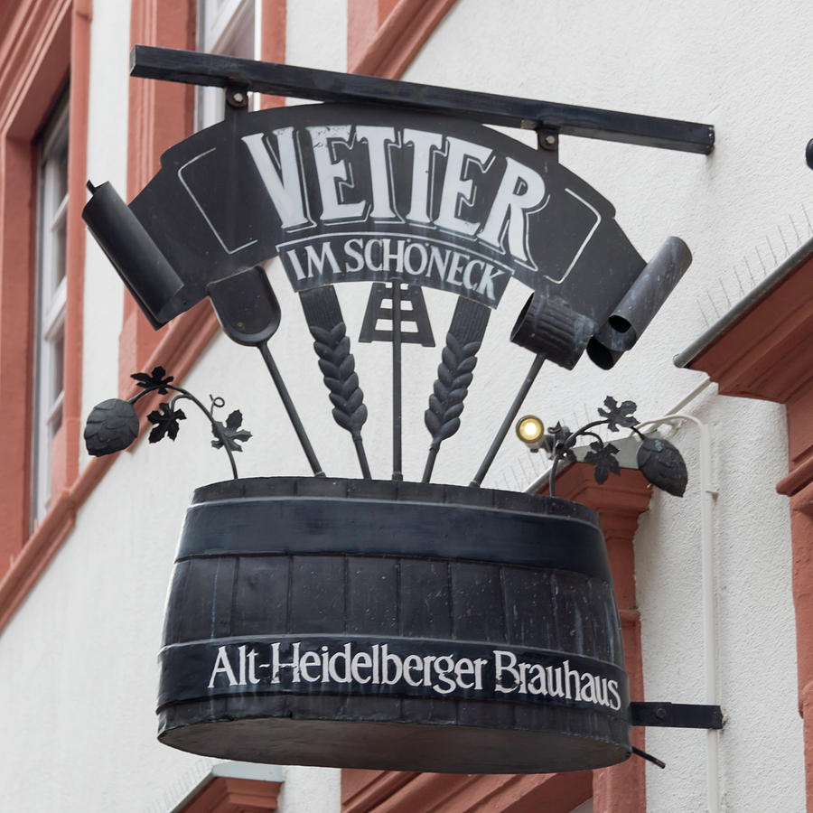 Vetter Im Schonenck Heidelberg Photograph by Teresa Mucha