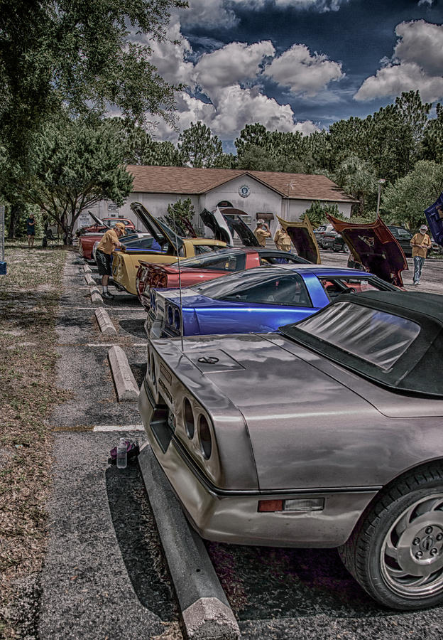 Vettes in a Row Photograph by Judy Hall-Folde