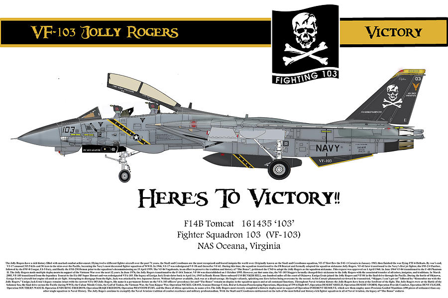 VF-103 jolly Rogers by Dan Teker