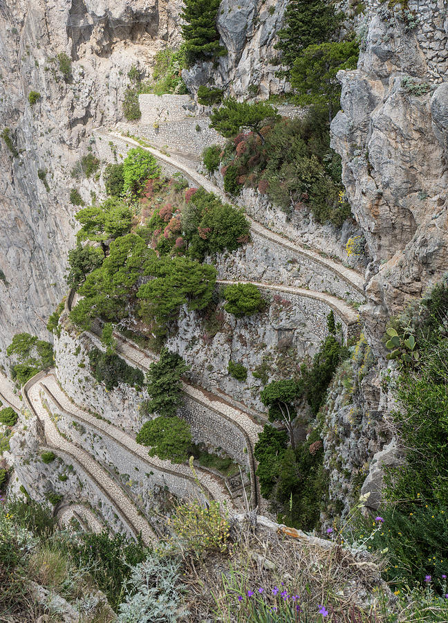 Via Krupp pathway, Capri Photograph by Jocelyn Kahawai