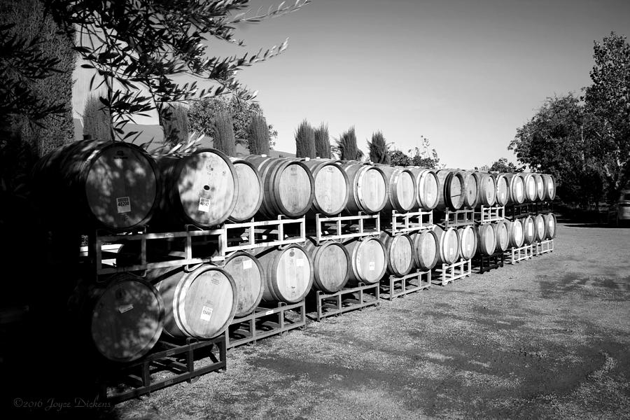 Viaggio Winery Wine Barrels B and W Photograph by Joyce Dickens