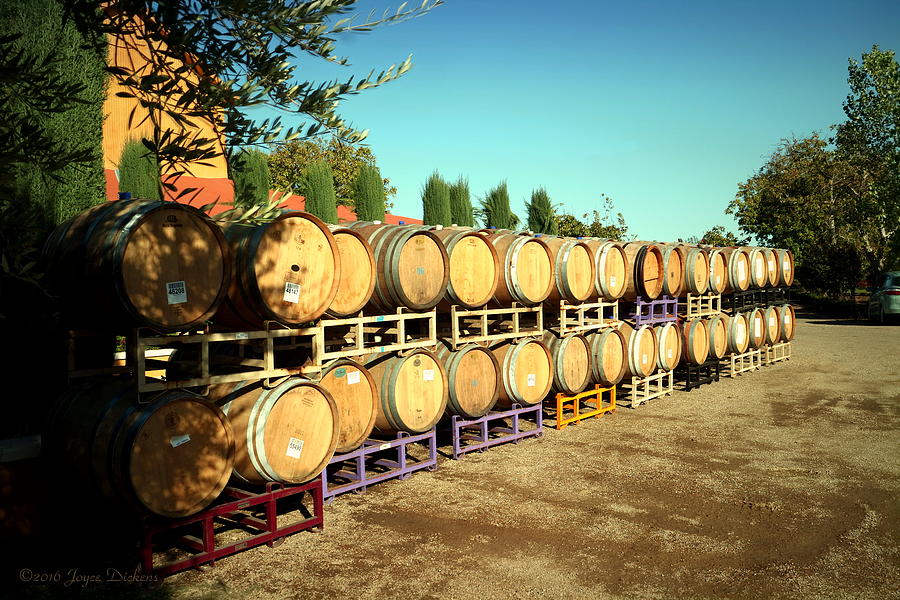 Viaggio Winery Wine Barrels Photograph by Joyce Dickens