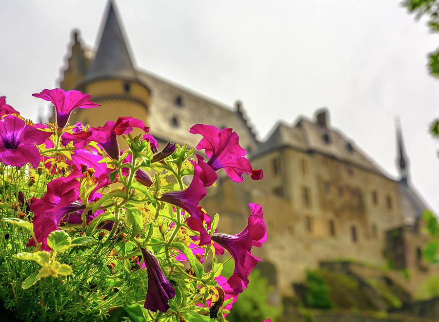 Vianden Castle Photograph by Andrew Matwijec