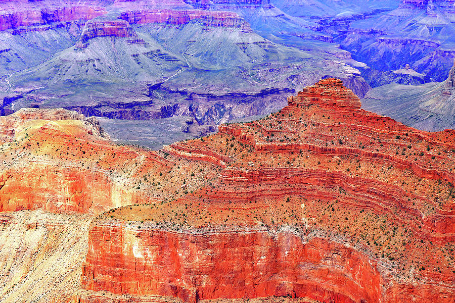 Grand Canyon National Park Photograph - Vibrance by Iryna Goodall