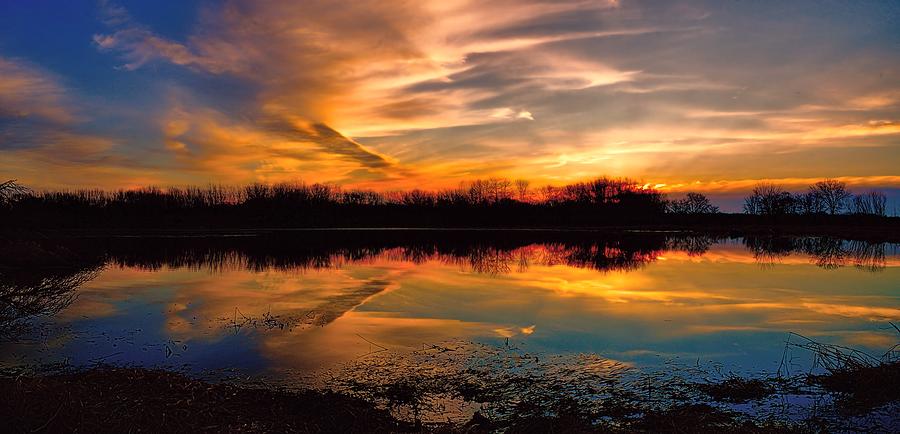 Vibrancy Photograph by Bonfire Photography - Fine Art America