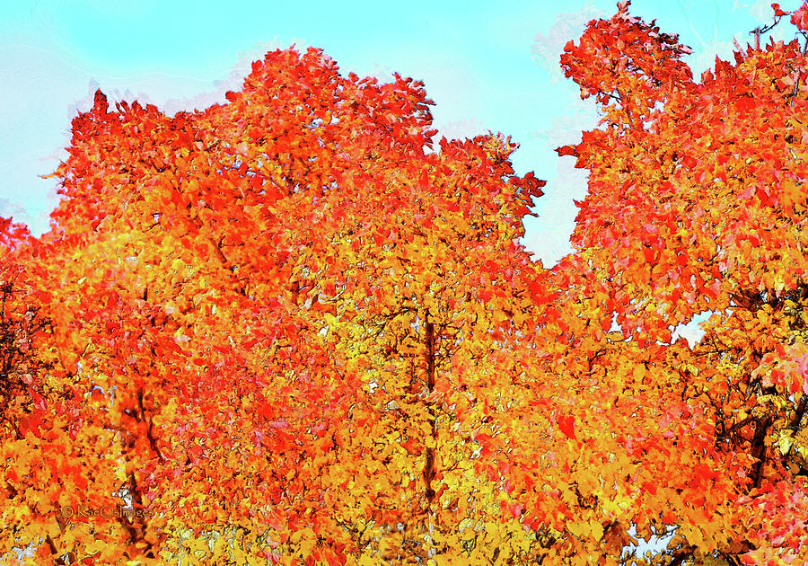 Vibrant Autumn Trees Digital Art by Kae Cheatham