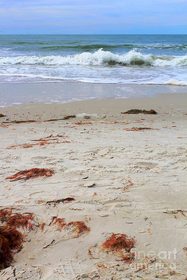 Vibrant Beach with wave Photograph by Jeanne Forsythe