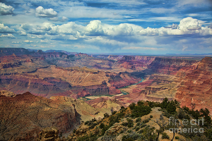 Grand Canyon National Park Photograph - Vibrant Color Grand Canyon  by Chuck Kuhn