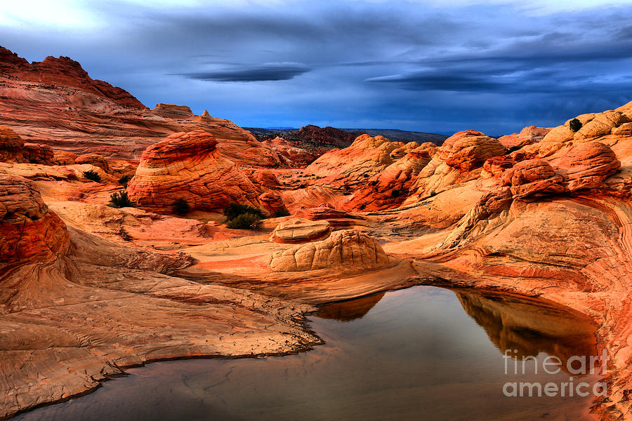 Abstract Photograph - Vibrant Desert Landscape by Adam Jewell