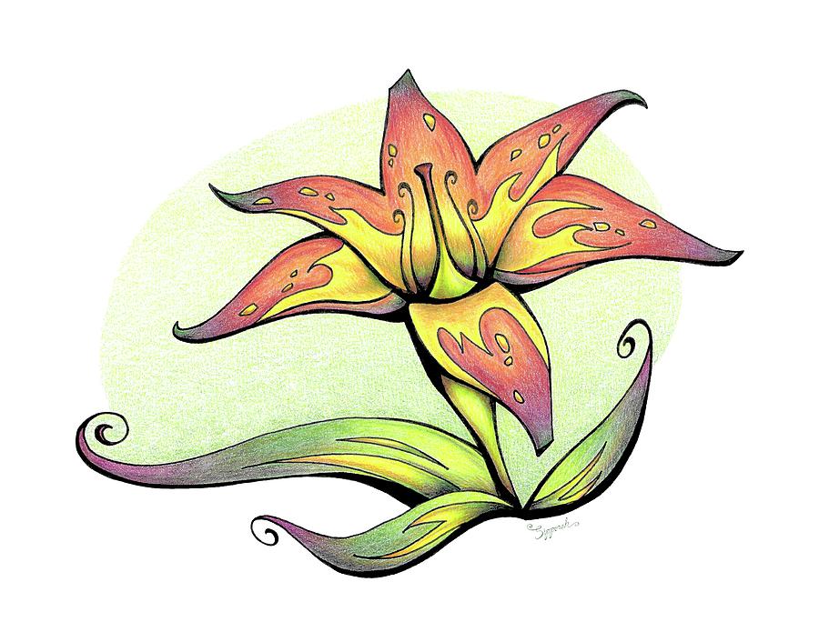 Vibrant Flower 4 Tiger Lily Drawing by Sipporah Art and Illustration