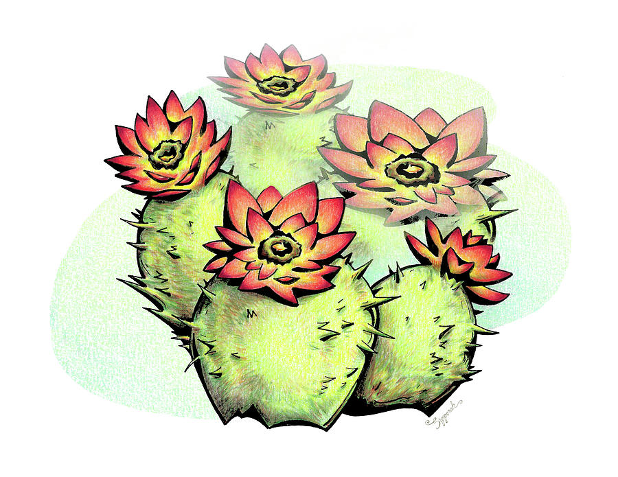 Vibrant Flower 6 Cactus Drawing by Sipporah Art and Illustration
