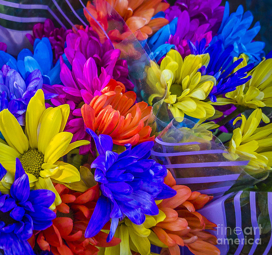 Vibrant Flower Bouquet Photograph by Joann Long