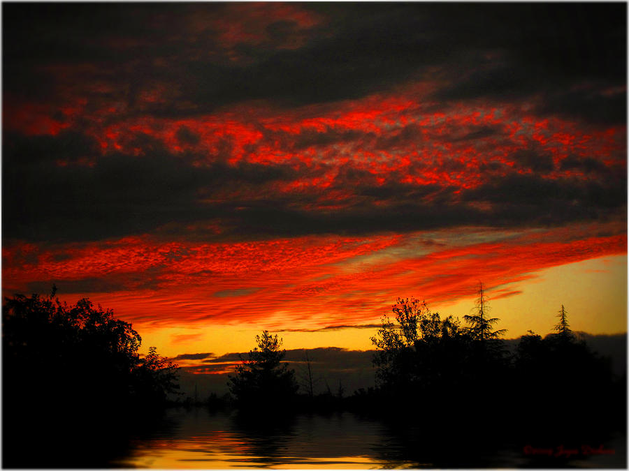 Sunset Photograph - Vibrant Glow Two by Joyce Dickens