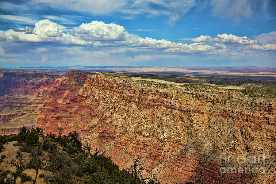 Grand Canyon National Park Photograph - Vibrant Grand Canyon III by Chuck Kuhn