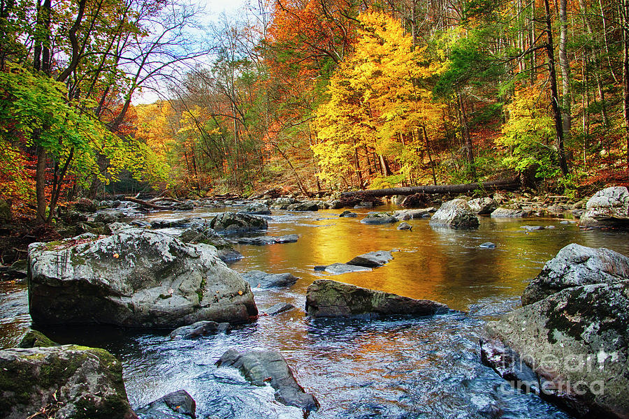 Vibrant Hues of Autumn Photograph by George Oze - Fine Art America