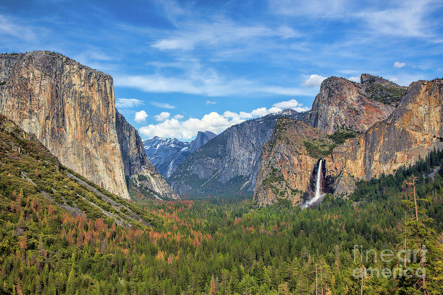 Vibrant Tunnel View Photograph by Mimi Ditchie