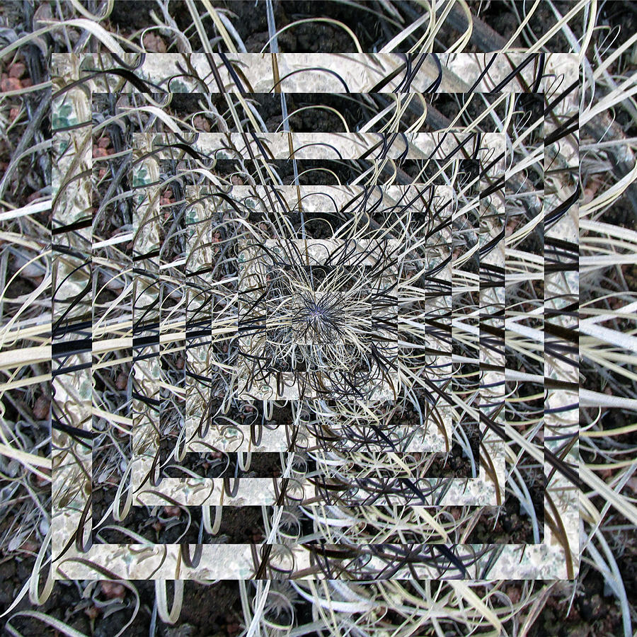 Vibrating Plant Vortex Kaleidoscope Digital Art by Julia L Wright
