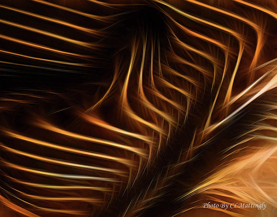 Vibration in Brown Photograph by Coke Mattingly